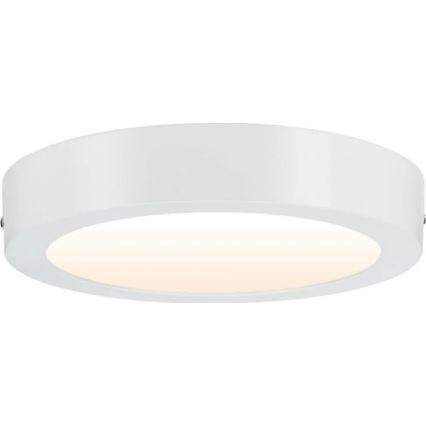 Paulmann 79795 – LED/13W Deckenleuchte CARPO 230V 2300/2500/3000K