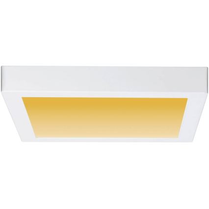 Paulmann 79801 - LED/13W-Deckenleuchte CARPO 230V 2300/2500/3000K