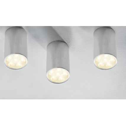 Paulmann 92547 - LED Deckenleuchte PREMIUM LINE BARREL 1xLED/6W/230V