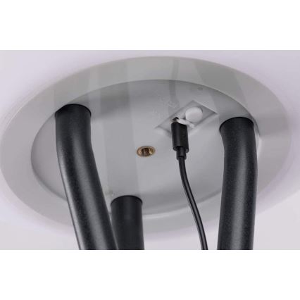Paulmann 94223 - LED/2W IP44 Dimmbare Außen-Stehleuchte TRIVET USB