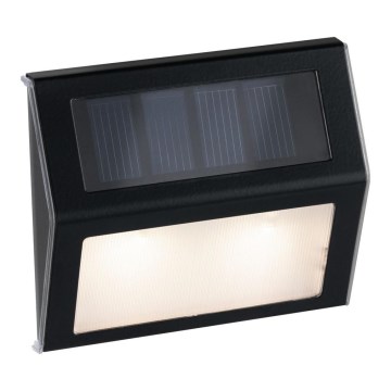 Paulmann 94234 - LED/0,05W IP44 Außen-Solarleuchte mit Sensor DAYTON 1,2V 400 mAh
