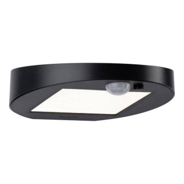 Paulmann 94246 - LED/1,2W IP44 Außen-Solarleuchte mit Sensor RYSE 3,7V 1800 mAh