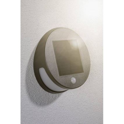 Paulmann 94265 - LED/3W IP44 Outdoor-Solarleuchte mit Sensor HELENA 3,7V 1800 mAh
