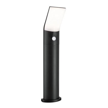 Paulmann 94403 - LED/10W IP44 Außenleuchte mit Sensor ADYA 230V