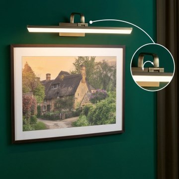 Paulmann 95570 - LED/11W Bilderleuchte RENAN 230V 60 cm Messing