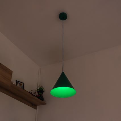 Pendelleuchte ETNA II mit Kabelaufhängung, 1 x E27, 15 W, 230 V, Ø 25 cm, grün
