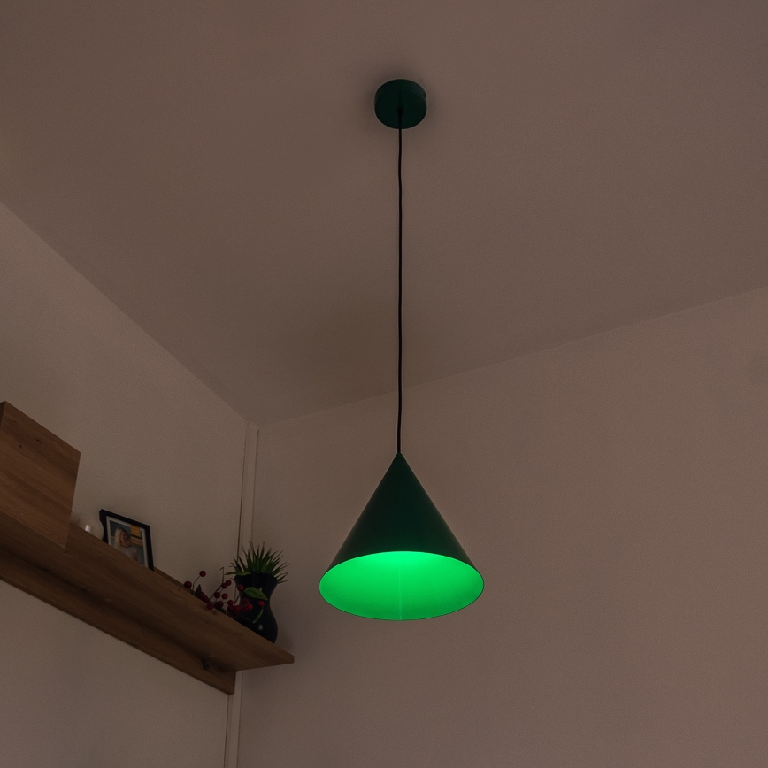 Pendelleuchte ETNA II mit Kabelaufhängung, 1 x E27, 15 W, 230 V, Ø 25 cm, grün