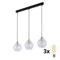 Pendelleuchte mit Kabel DEVON 3xE27/15W/230V schwarz/klar