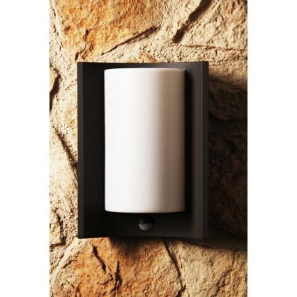 Philips 16405/93/16 - Außenwandleuchte MYGARDEN MEANDER 1xE27/20W/230V