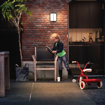 Philips 16464/93/16 - LED außenwandleuchte MYGARDEN STOCK 1xLED/6W/230V