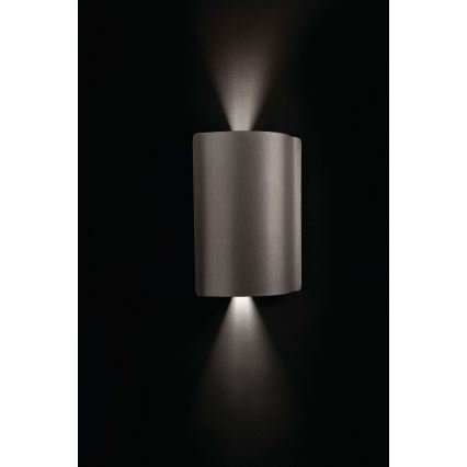 Philips 16815/47/16 - Outdoor Wandleuchte LEDINO BIRDSONG 2xLED/2,5W/230V