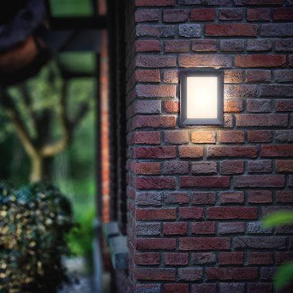 Philips 17293/93/16 - Außenwandleuchte MYGARDEN KARP 1xLED/6W/230V