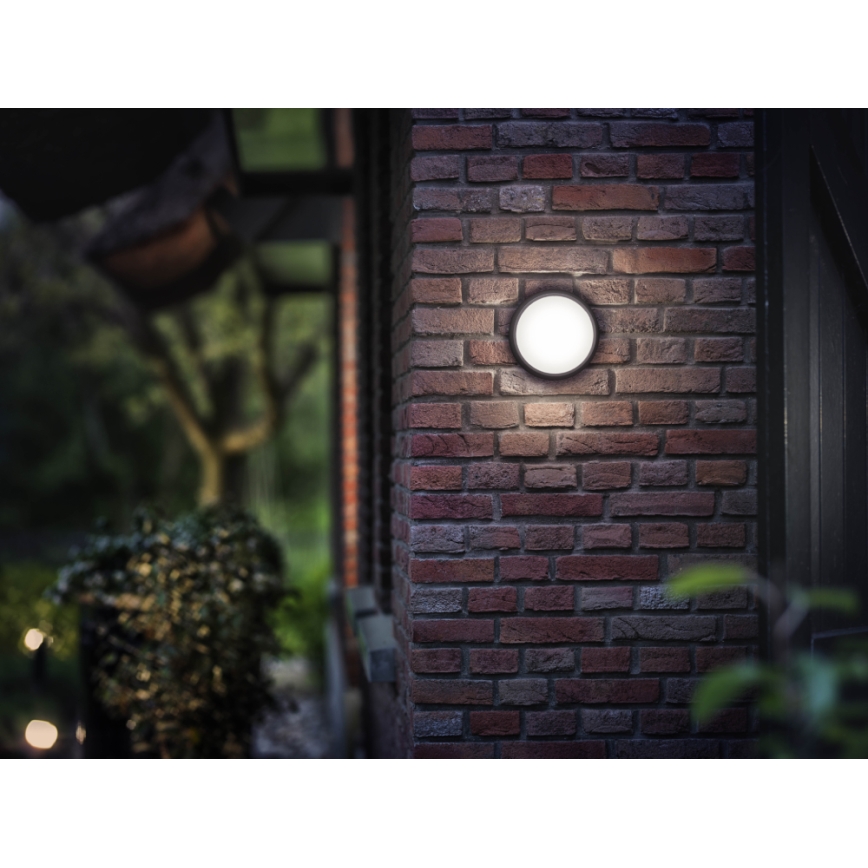 Philips 17304/30/P3 - Außenwandbeleuchtung MYGARDEN EAGLE 1xLED/3,5W/230V