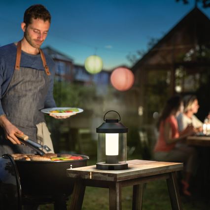 Philips 17360/30/P0 - LED Außenleuchte MYGARDEN ABELIA LED/3W