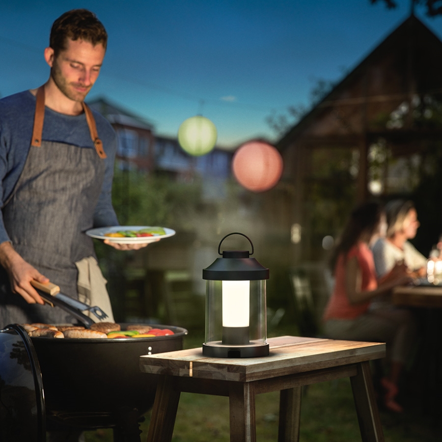 Philips 17360/30/P0 - LED Außenleuchte MYGARDEN ABELIA LED/3W