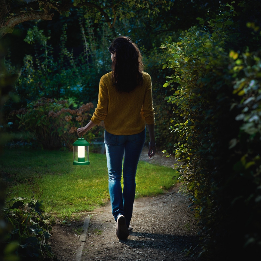 Philips 17360/33/P0 - LED Außenleuchte MYGARDEN ABELIA LED/3W