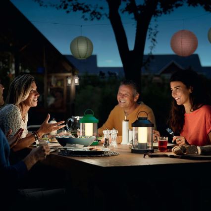 Philips 17360/33/P0 - LED tragbare Gartenlampe ABELIA LED/3W/5V