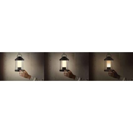 LED Außenleuchte LED/3W