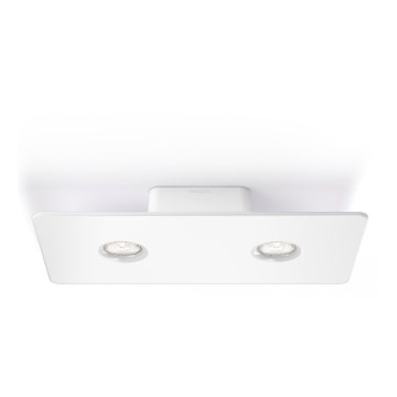 Philips 31207/31/16 - LED deckenleuchte INSTYLE MAGNA 2xLED/4,5W/230V