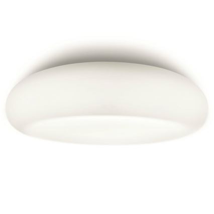 Philips 32067/31/16 - Badezimmerleuchten MYBATHROOM MIST 2xE27/15W/230V