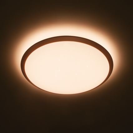 Philips 32809/31/P3 - LED dimmbare Deckenbeleuchtung CANAVAL LED/18W/230V