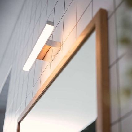 Philips 34341/11/P0 - LED Badezimmerleuchte MYBATHROOM PLUNGE 2xLED/4,5W/230V
