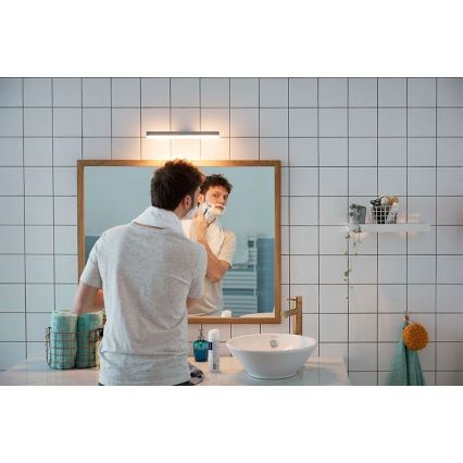 Philips 34341/11/P0 - LED Badezimmerleuchte MYBATHROOM PLUNGE 2xLED/4,5W/230V