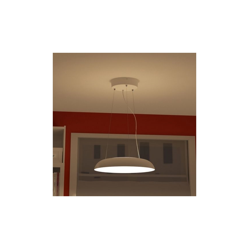 Philips 40233/31/16 - Pendelleuchte MYLIVING AMAZE 1x2GX13/60W/230V