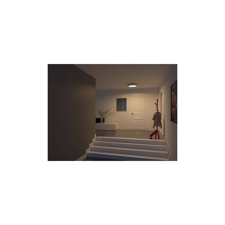 Philips 40340/48/16 - Deckenleuchte MYLIVING FAIR 1x2GX13/60W/230V