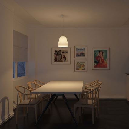 Philips 40399/31/16 - Hängelampe MYLIVING GLAD 1xE27/20W/230V