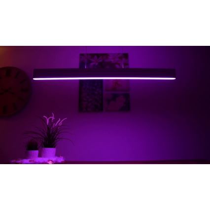 Philips - Dimmbare LED-RGBW-Hängeleuchte an Schnur Hue ENSIS White And Color Ambiance 2xLED/39W/230V