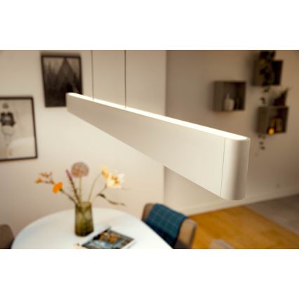 Philips - Dimmbare LED-RGBW-Hängeleuchte an Schnur Hue ENSIS White And Color Ambiance 2xLED/39W/230V