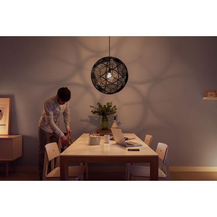 Philips 40913/30/PN - Hängeleuchte MYLIVING RING 1xE27/60W/230V