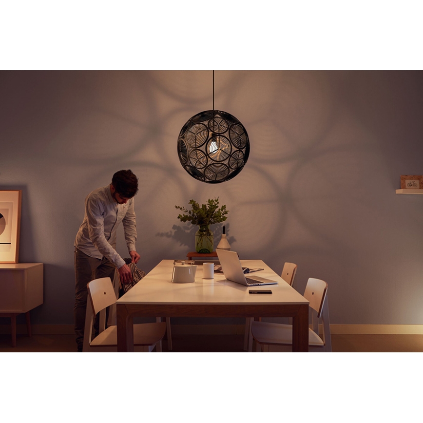 Philips 40913/30/PN - Hängeleuchte MYLIVING RING 1xE27/60W/230V