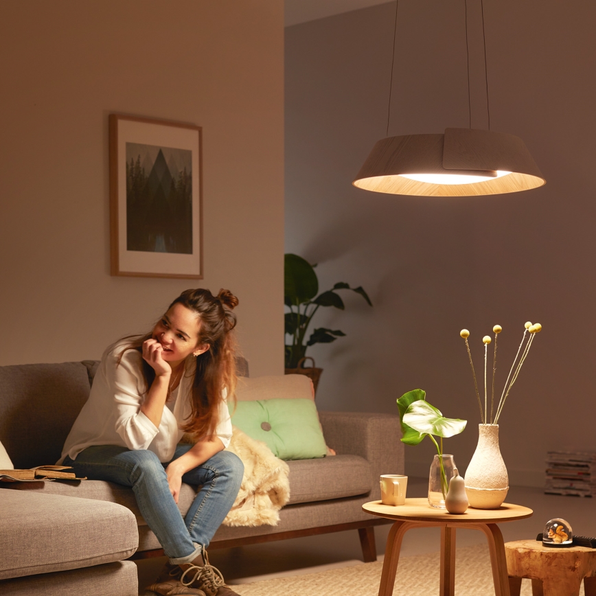 Philips 49021/31/P1 - LED kronleuchter INSTYLE NONAGON 2xLED/10W/230V