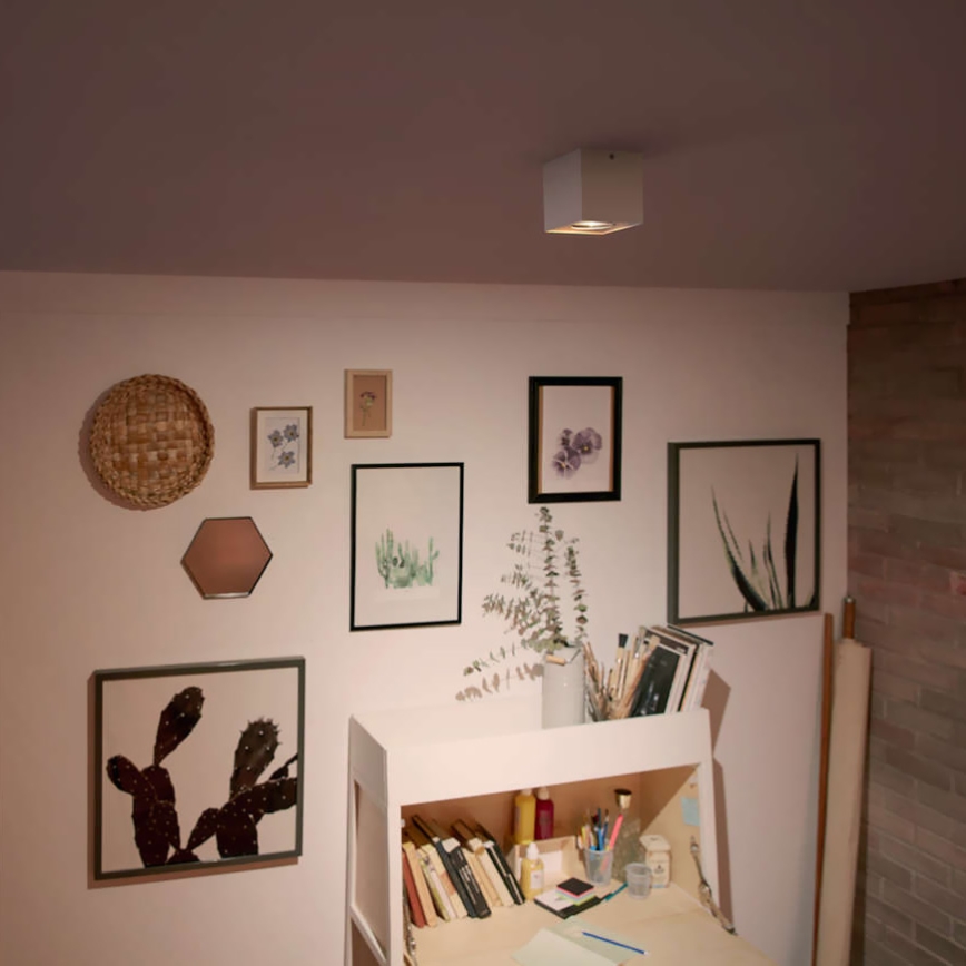 Philips 50491/31/P0 - LED Spotlight MYLIVING BOX 1xLED/4,5W/230V