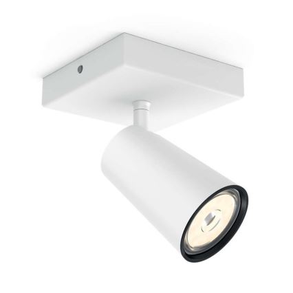 Philips - LED Spotlight 1xGU10/5,5W/230V