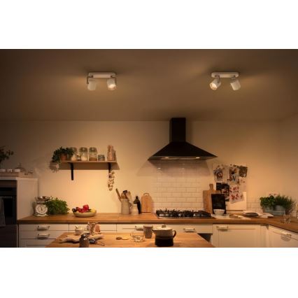 Philips - Dimmbarer LED-Strahler 2xLED/4,5W/230V