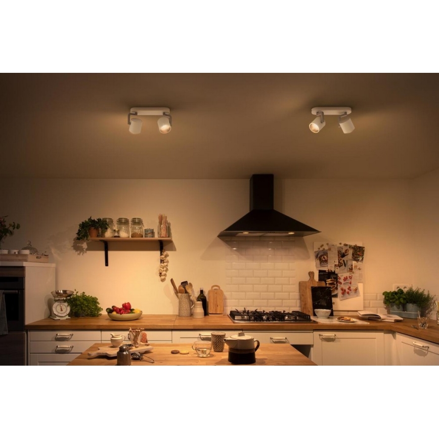 Philips - Dimmbarer LED-Strahler 2xLED/4,5W/230V