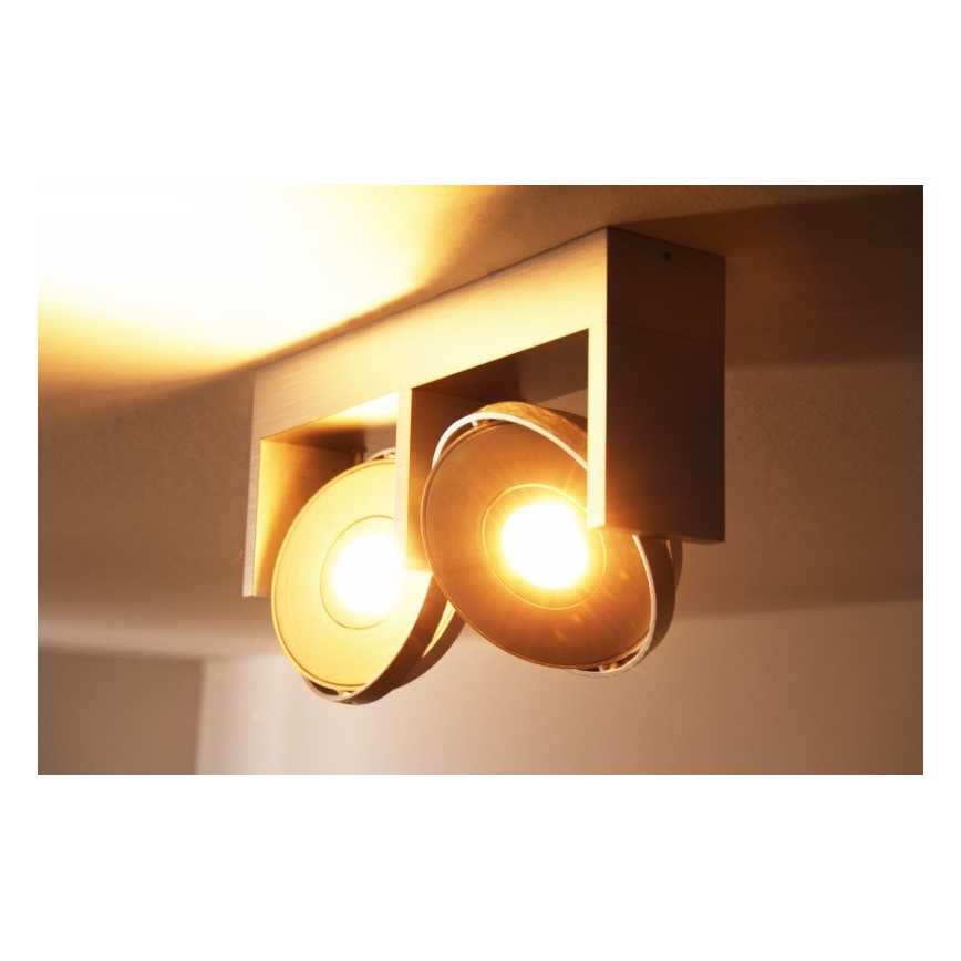 Philips 53152/48/16 - LED Spotleuchte PARTICON 2xLED/6W/230V