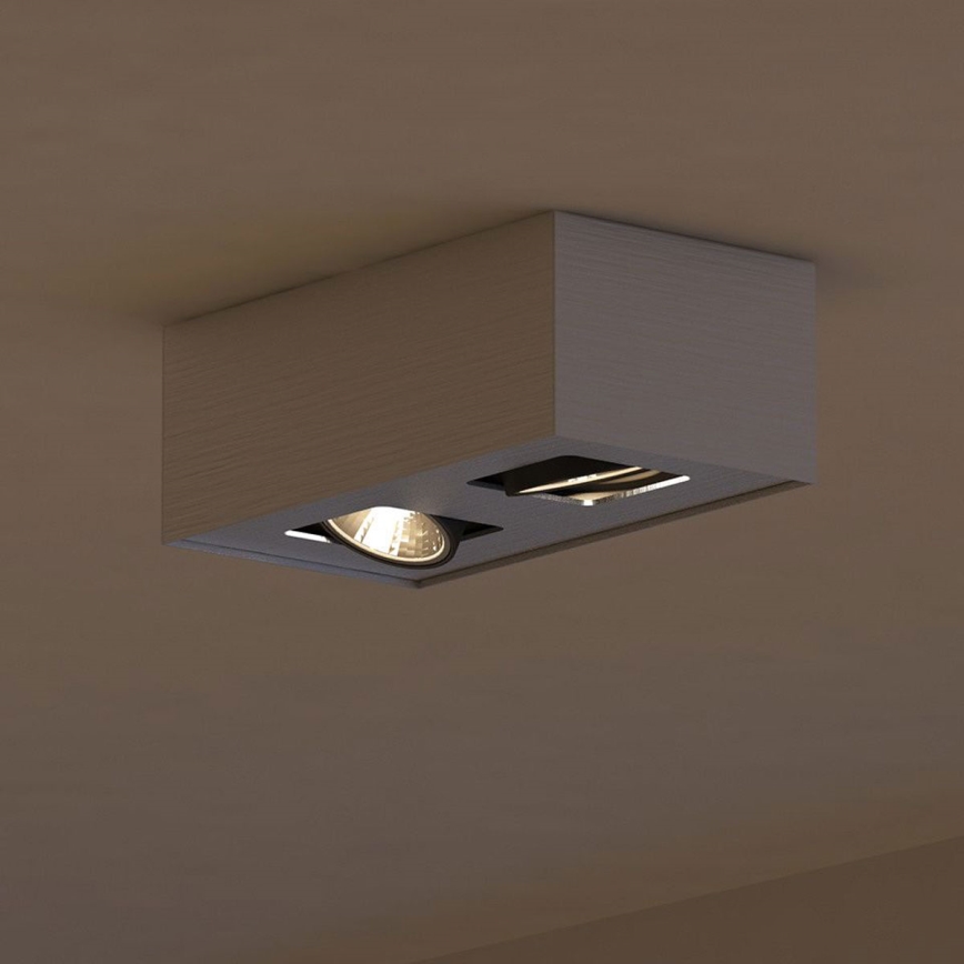 Philips 56232/48/16 - Spotleuchte TEMPO 2xGU10/35W/230V