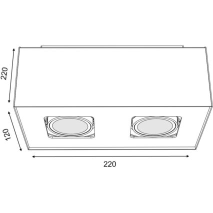 Philips 56232/48/16 - Spotleuchte TEMPO 2xGU10/35W/230V