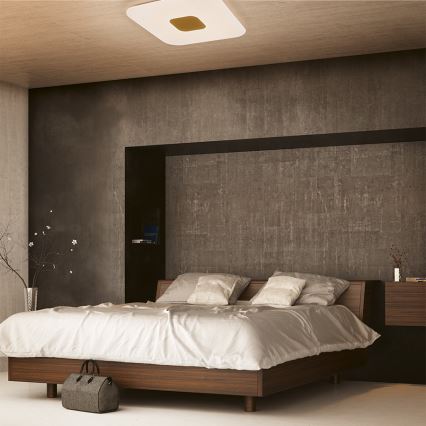 Philips - LED dimmbare Deckenleuchte LED/75W/230V + Fernbedienung
