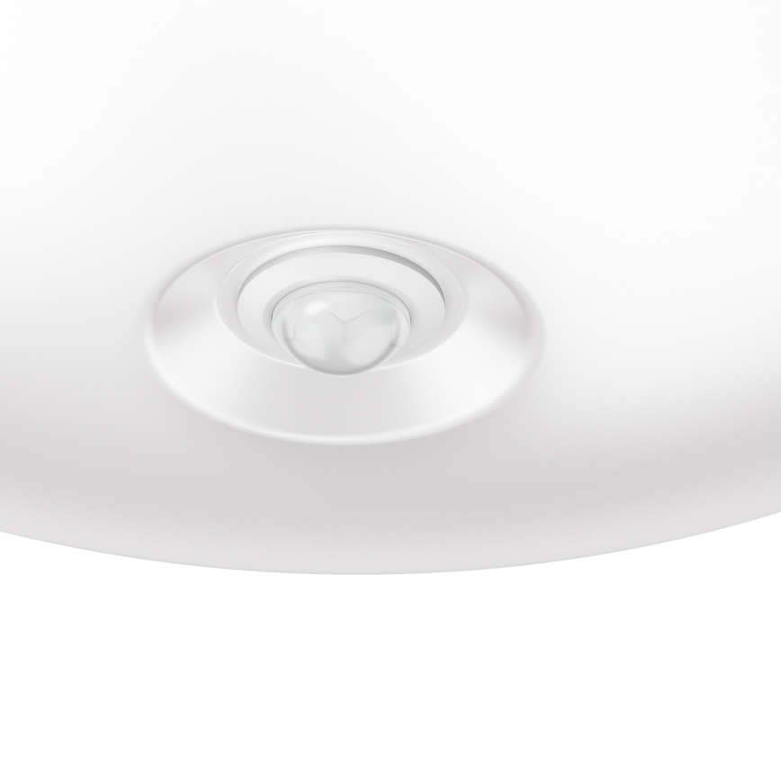 Philips 62233/31/P0 - LED Sensorbeleuchtung MYLIVING MAUVE PIR 4xLED/1,5W/230V