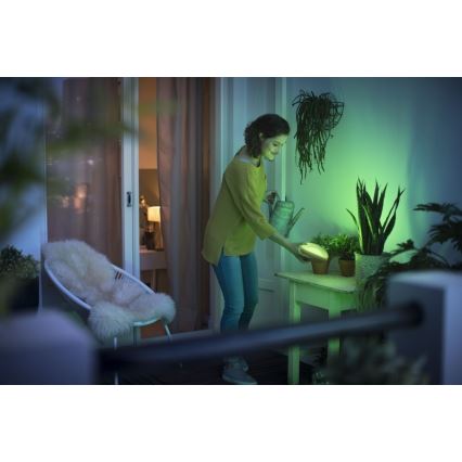 Philips 70104/31/P0 - LED RGB Dimmbare tragbare Lampe CAMELLIA LED/3W/5V