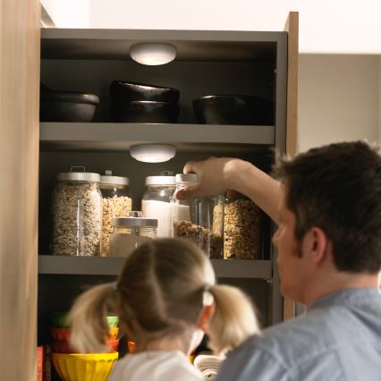 Philips 71924/31/P0 - Berührungslicht MYLIVING LED/0,3W/2xAAA