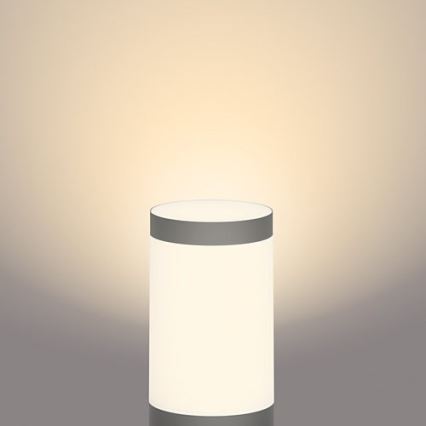 Philips - LED Außenleuchte GARDENLINK LED/24W/230V 2700K IP44