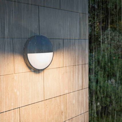 Philips - LED-Außenwandleuchte CAPRICORN LED/4,3W/230V IP44