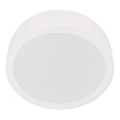 Philips - LED-Deckenleuchte MESON LED/24W/230V 3000K