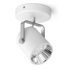 Philips - LED Dimmbare Spotleuchte 1xLED/4.5W/230V